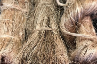 Global Abaca Fibre Market To Be Driven By The Extensive Use Of Abaca Fibre In The Automotive Industry In The Forecast Period Of 2021-2026