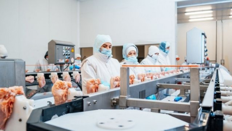 Global Poultry Processing Equipment Market 2022 | Key Development To Be Observed Industry States And Outlook Across By 2028