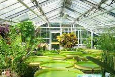 Smart Greenhouse Market Size, Status, Growth | Industry Analysis Report 2020-2028