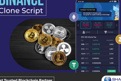 WHAT IS BINANCE CLONE?