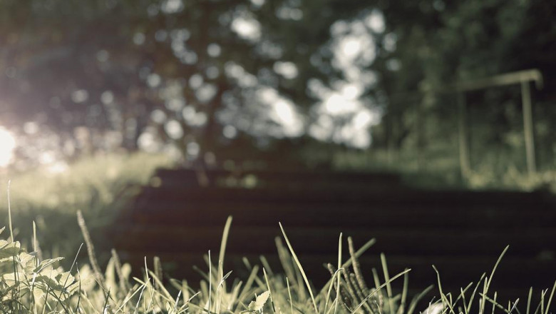 11 ways to completely sabotage your vibrational energy healing