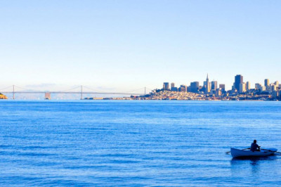 the evolution of brampton immigration consultancy mohali