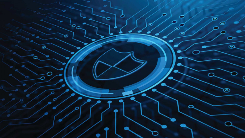 Your Guide to Network Security