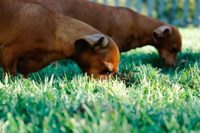 15 best google eidikoi bloggers you need to follow