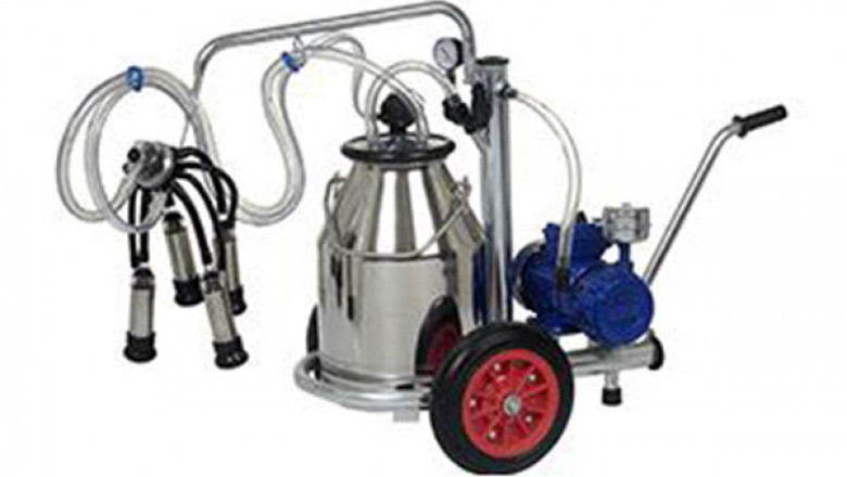 Best Milking Machine for Cows in India
