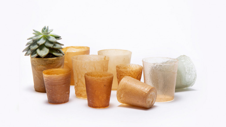 Bioplastic Compostable Packaging Market Growth Forecast By 2030