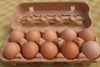 Egg Carton Market 2022 | Industry Demand, Fastest Growth, Opportunities Analysis and Forecast To 2028
