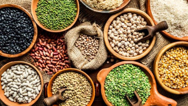 Seed Coating Market Size, Share, Growth Opportunity &amp; Global Forecast to 2028