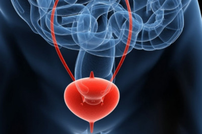 Global Overactive Bladder Therapeutics Market Drivers