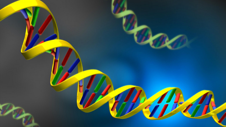 Isothermal Nucleic Acid Amplification Technology (INAAT) Market Regional Insights