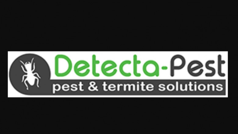 Pest Control for your Home: Uncomplicated and Effective Approaches