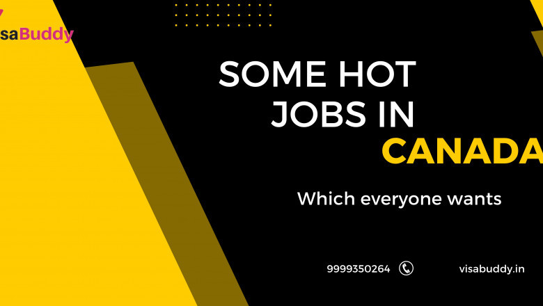 Some Hot Jobs in Canada which everyone wants