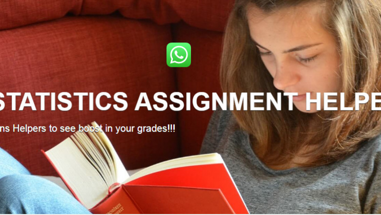 Statistics Expert hel p Online