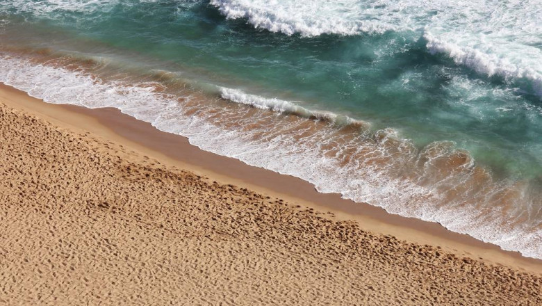 govt management development training