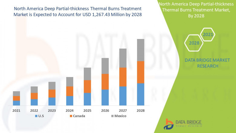 North America Deep Partial-Thickness Thermal Burns Treatment Market – Industry Trends and Forecast