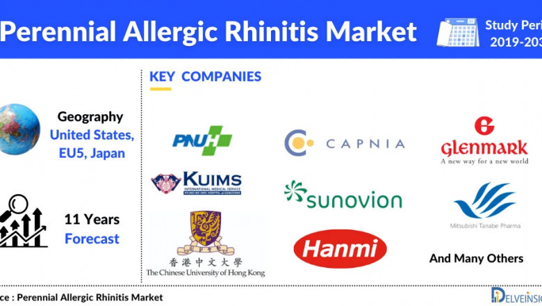 Perennial Allergic Rhinitis Market is Expected to Show Positive Growth by 2032