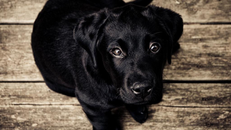 pros y contras de la calefaccion por suelo radiante que no sabias