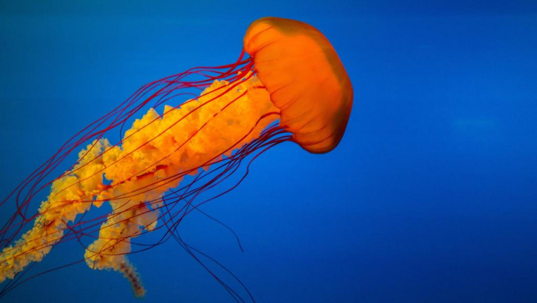 twenty five excellent factors to move to dubai along with the united arab emirates