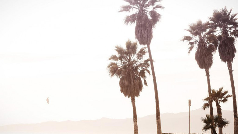 changing into a business coach