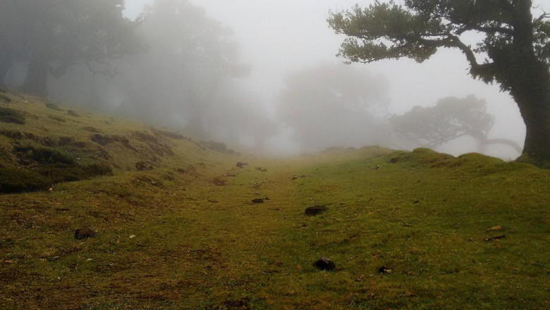 ogrodzenia dzwiekochlonne z plastiku