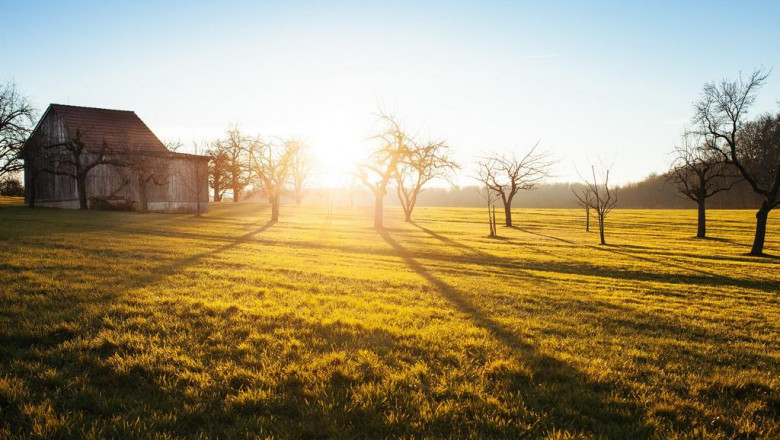 5 tips about buying entry doors and garden fences