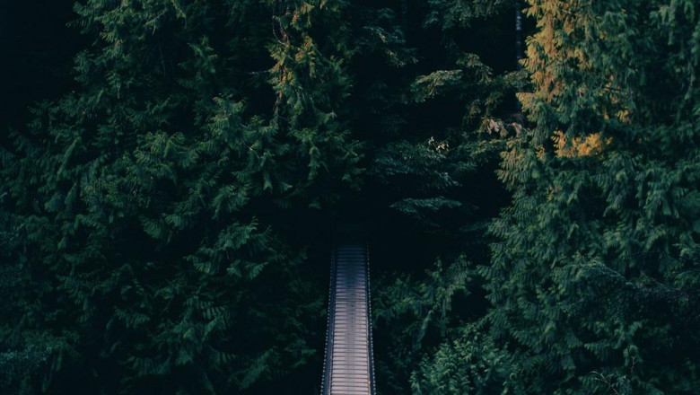 a beginners guide and tips for golf