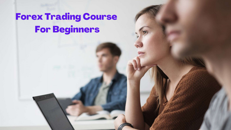 What Are Forex Trading Course For Beginners?