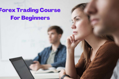 What Are Forex Trading Course For Beginners?