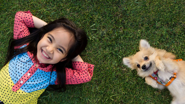 5 Qualities to Look for in a New Lawn Care Provider