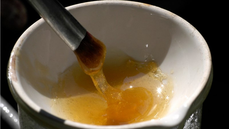 Bone Glue Is A Kind Of Adhesive That Is Utilised To Join Two Pieces Of Bone