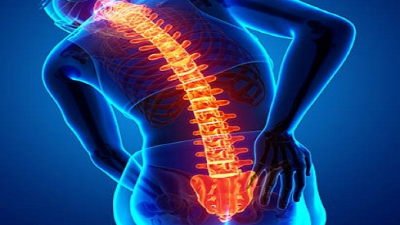 fysioterapeut handen