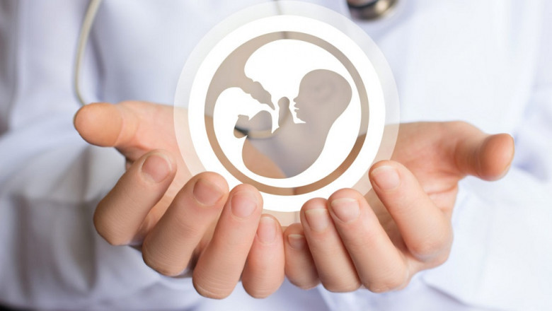 In Vitro Fertilization Services Market - Forecast (2022 - 2027)