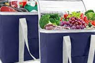Insulated Bags Market Size, In-depth Analysis Report and Global Forecast to 2028