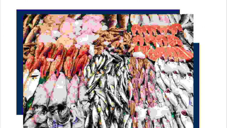 Saudi Arabia Fish and Seafood Market (2020-2026) | Size, Share