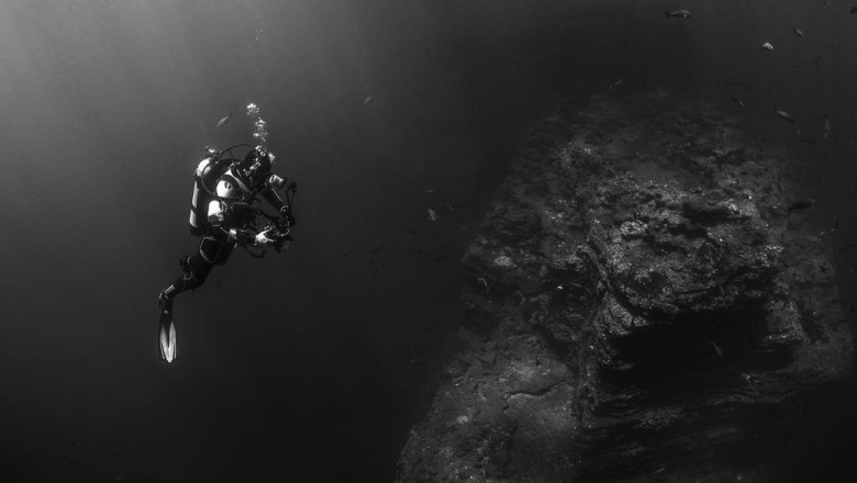 will business security camera systems ever die