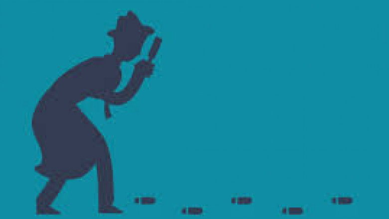 What do inexperienced private detectives need to learn?