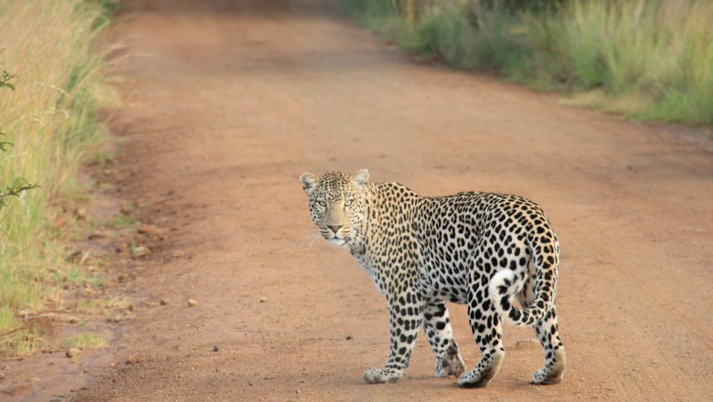 10 pinterest accounts to follow about onelimo