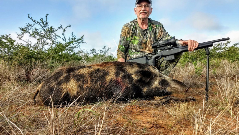 6 Tips for Using a Bipod for Accuracy