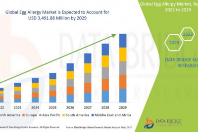 Egg Allergy Market Demands, Trends, Industry Analysis, Segmentation, Insight, Scope, & Forecast by 2029.