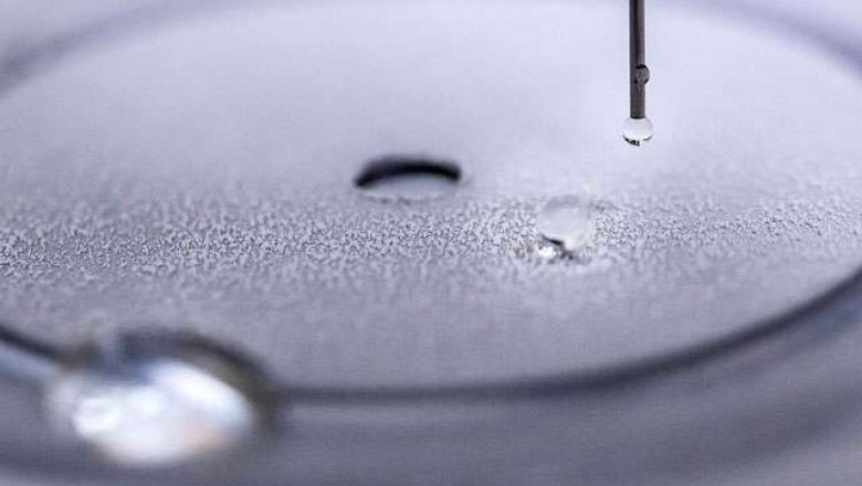 Hydrophobic Coatings Market 2022 - In-Depth Analysis, Growth Statistics, Upcoming Trends and Growth Opportunities to 2031