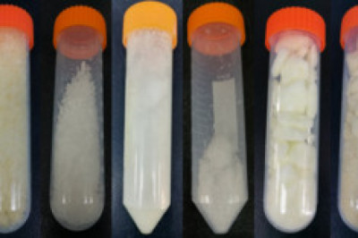 Lanthanides Market 2022 Key Players, Share & Forecast Report to 2028