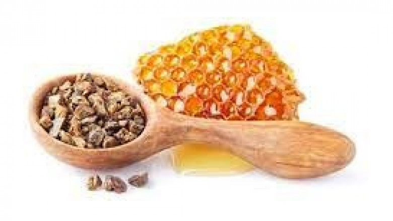 Propolis Market Size, Share, Growth, Opportunities and Global Forecast to 2028