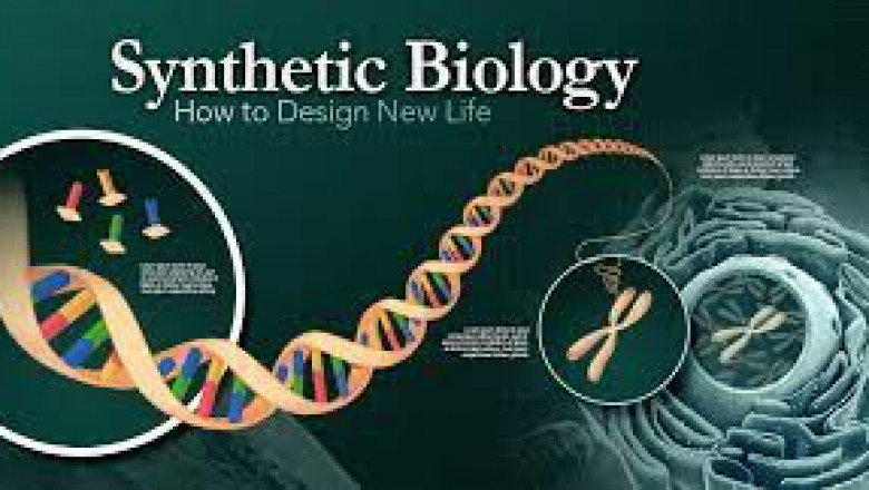 Synthetic Biology Market Overview