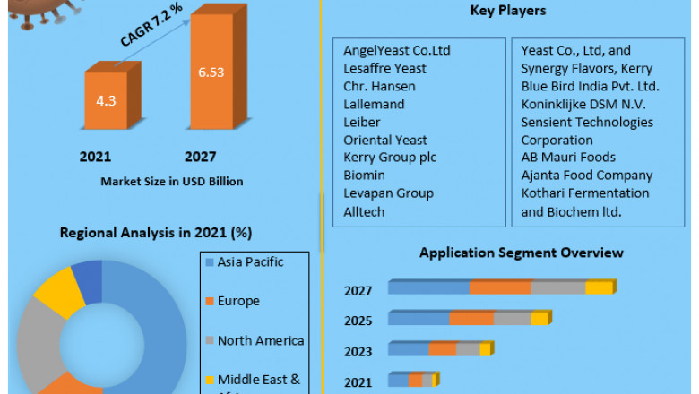 2021 Global Size, Leading Players, Analysis, Sales Revenue and Forecast 2027