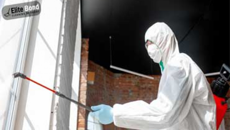 Best Pest control Near You