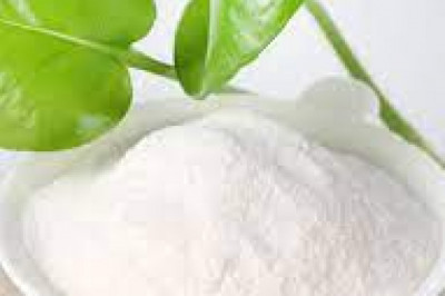 Global Konjac Powder Market Report, Latest Trends, Industry Opportunity & Forecast to 2028