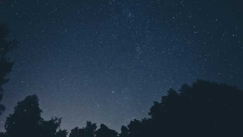 ways to use seo to grow your business how to use seo for your business in fullerton