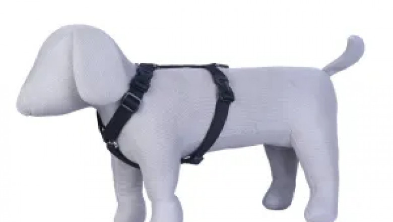 Dog Dody Belt for Medium Dogs