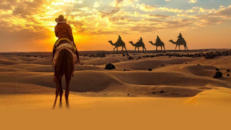 Experience the Desert safari