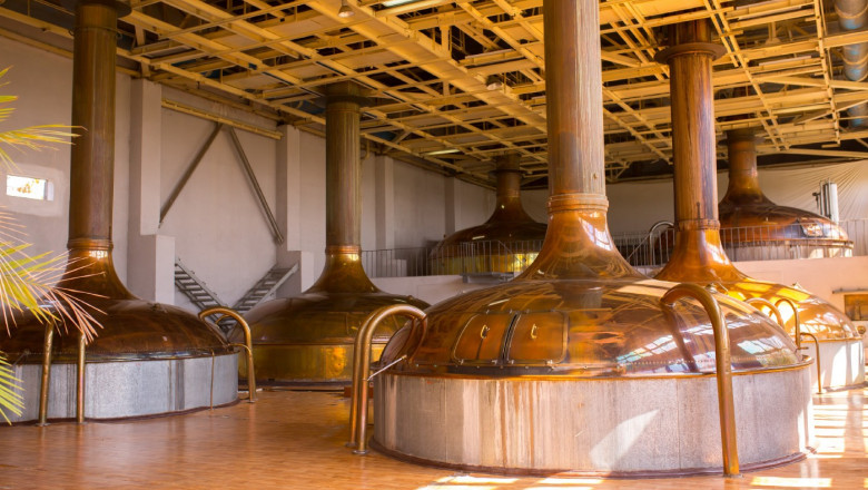 Precision Fermentation Market 2022 Major Key Players and Industry Analysis Till 2028